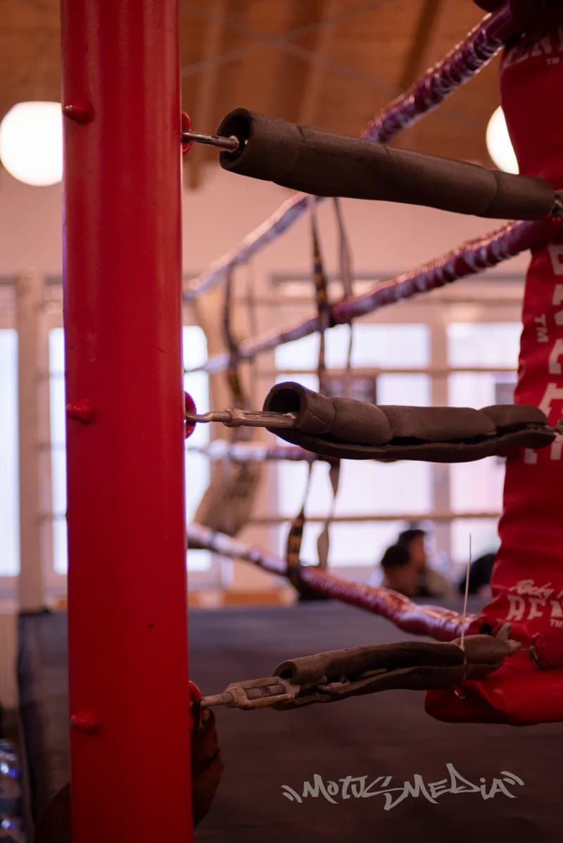 Fight Night Euskirchen