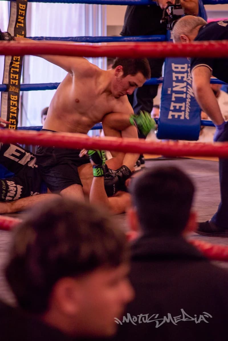 Fight Night Euskirchen