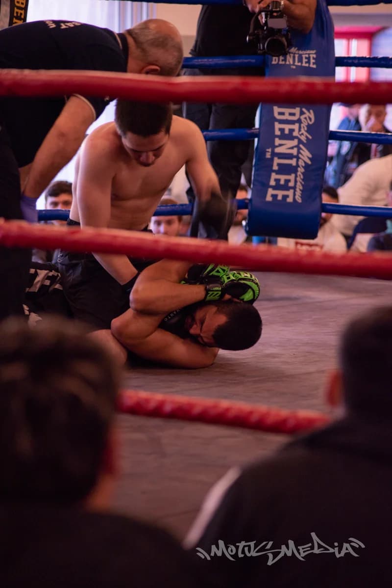 Fight Night Euskirchen