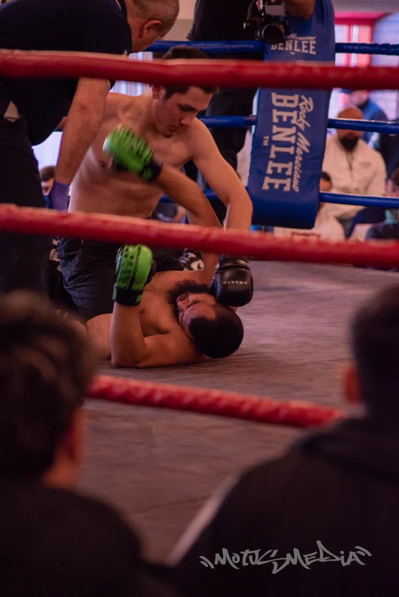 Fight Night Euskirchen